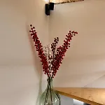 The Luxurious Tiny House Galatina