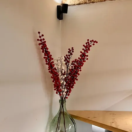 The Luxurious Tiny House 加拉蒂纳